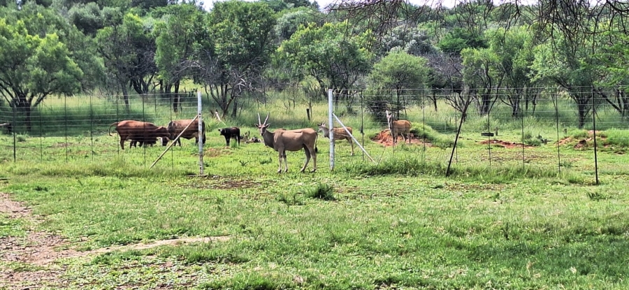 4 Bedroom Property for Sale in Koster North West